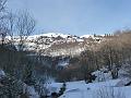fourcat_gerard 006